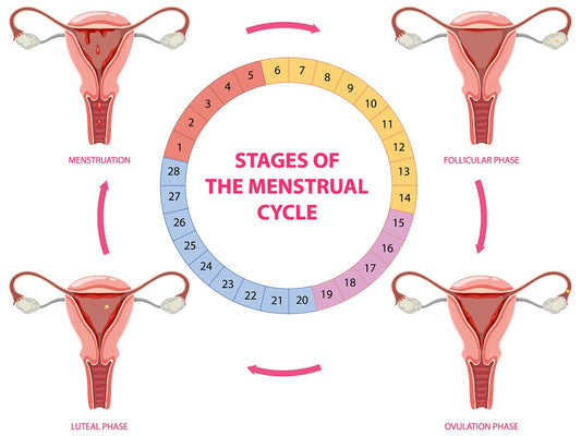 Understanding Your Cycle: It's Simpler Than You Think!